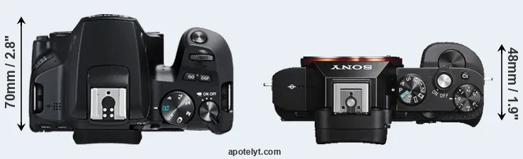 Compare 250D versus A7S top