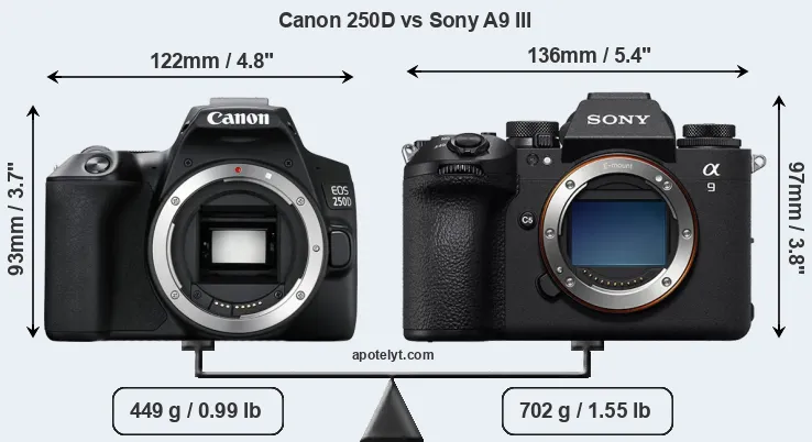 Size Canon 250D vs Sony A9 III