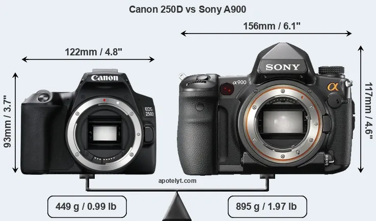 Size Canon 250D vs Sony A900