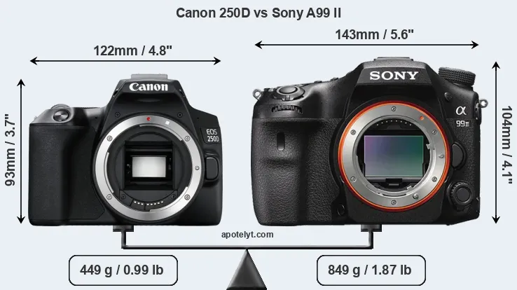 Size Canon 250D vs Sony A99 II