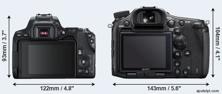 Comparison 250D or A99 II rear