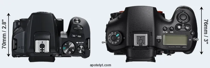 Compare 250D versus A99 II top