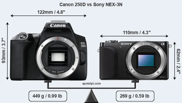 Size Canon 250D vs Sony NEX-3N