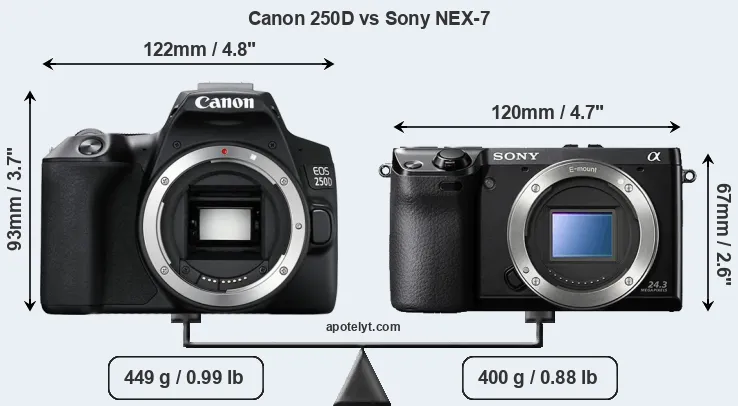 Size Canon 250D vs Sony NEX-7