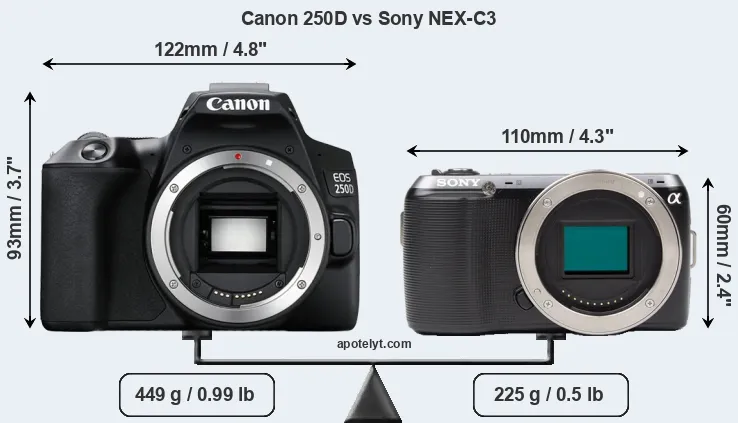 Size Canon 250D vs Sony NEX-C3