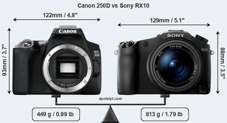 Size Canon 250D vs Sony RX10