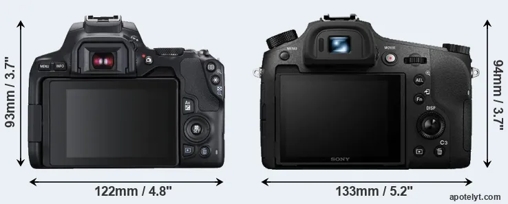 Comparison 250D or RX10 III rear