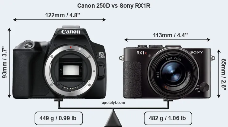 Size Canon 250D vs Sony RX1R
