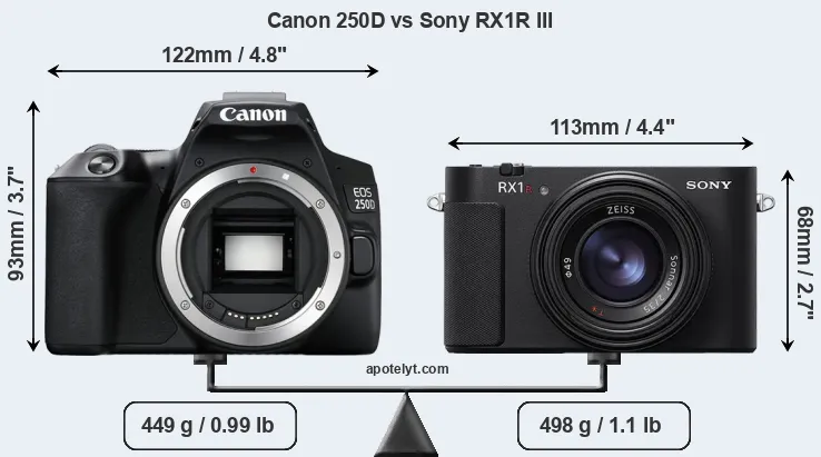 Size Canon 250D vs Sony RX1R III