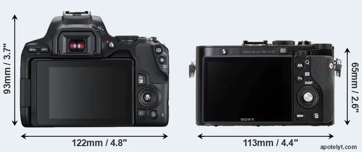 Comparison 250D or RX1R rear