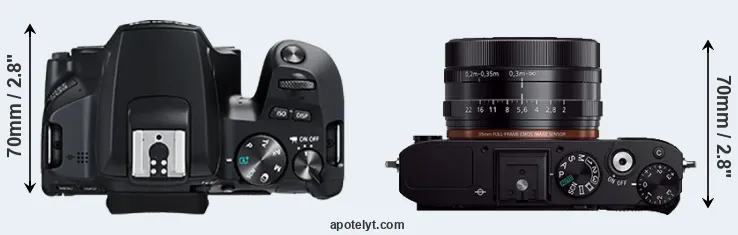 Compare 250D versus RX1R top