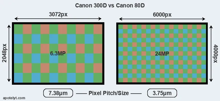 300D versus 80D MP