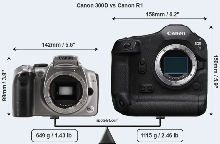 Size Canon 300D vs Canon R1