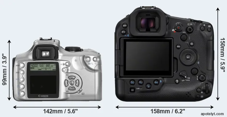 Comparison 300D or R1 rear