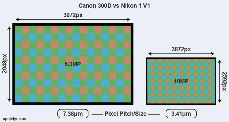 300D versus V1 MP