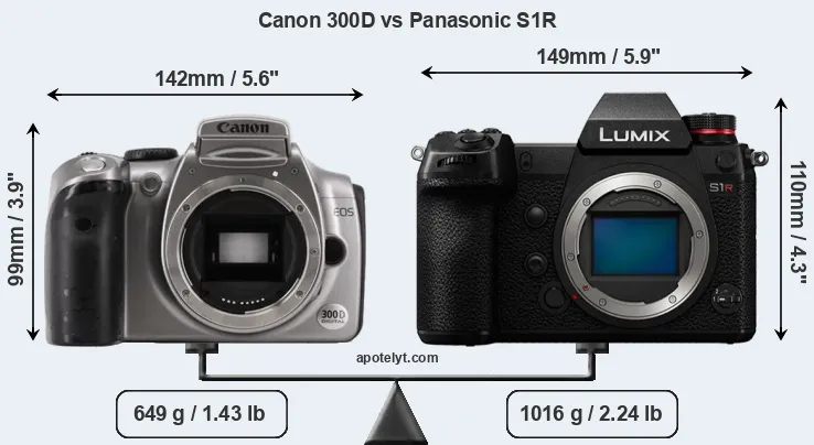Size Canon 300D vs Panasonic S1R