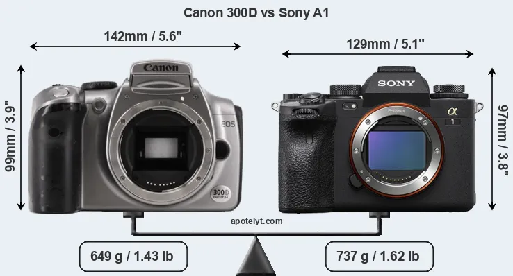 Size Canon 300D vs Sony A1