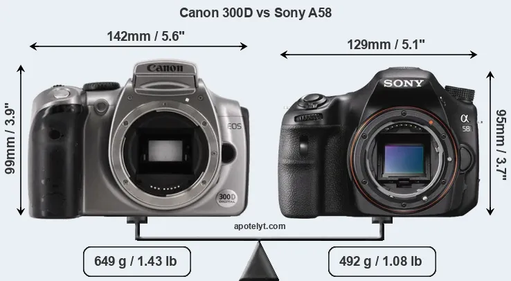 Size Canon 300D vs Sony A58