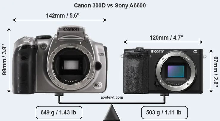 Size Canon 300D vs Sony A6600