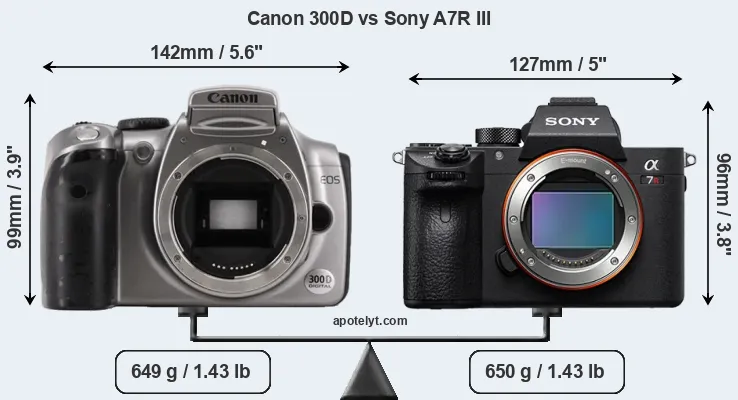 Size Canon 300D vs Sony A7R III