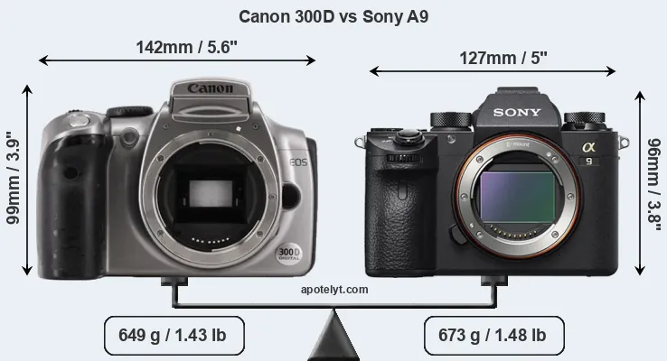 Size Canon 300D vs Sony A9