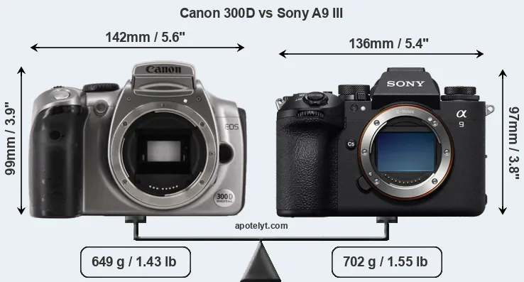 Size Canon 300D vs Sony A9 III