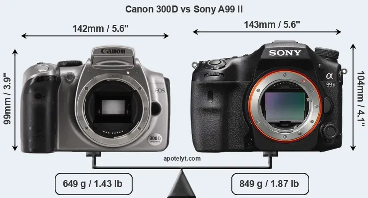 Size Canon 300D vs Sony A99 II