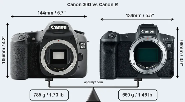 Size Canon 30D vs Canon R