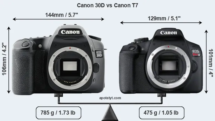 Size Canon 30D vs Canon T7