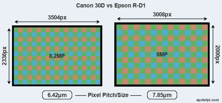 30D versus R-D1 MP