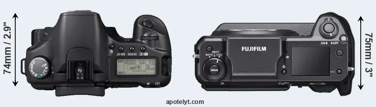 Compare 30D versus GFX 100 top