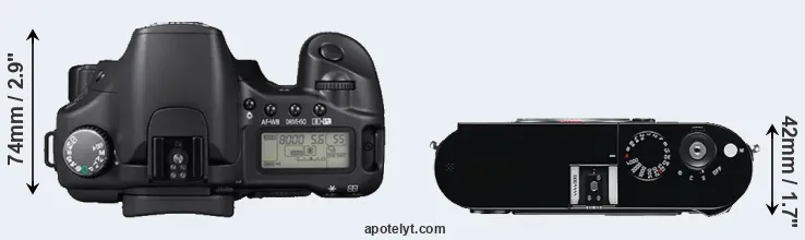 Compare 30D versus M Typ 240 top