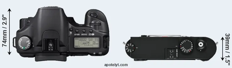 Compare 30D versus M10 top