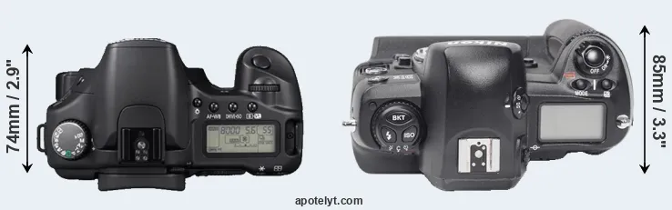 Compare 30D versus D1X top