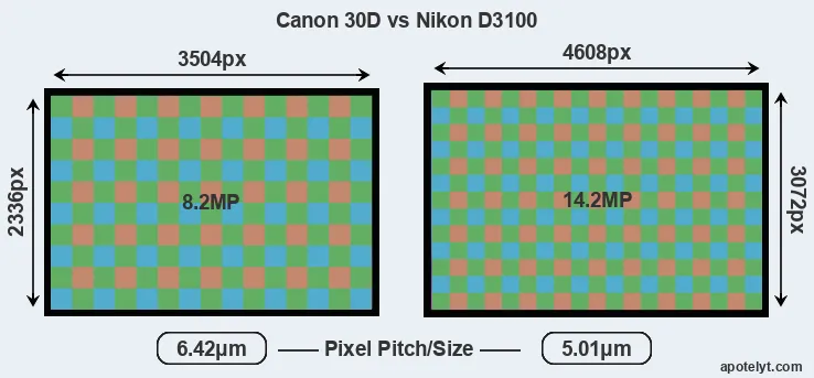30D versus D3100 MP