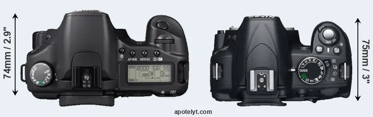 Compare 30D versus D3100 top