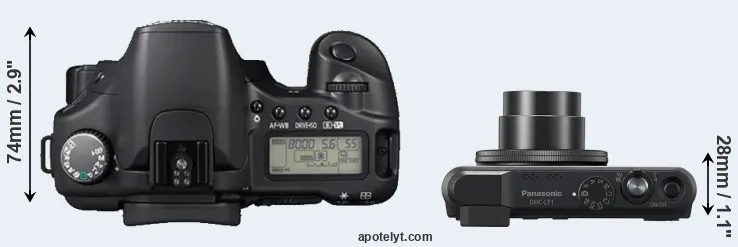 Compare 30D versus LF1 top