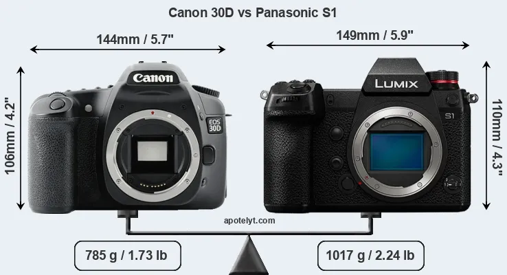 Size Canon 30D vs Panasonic S1