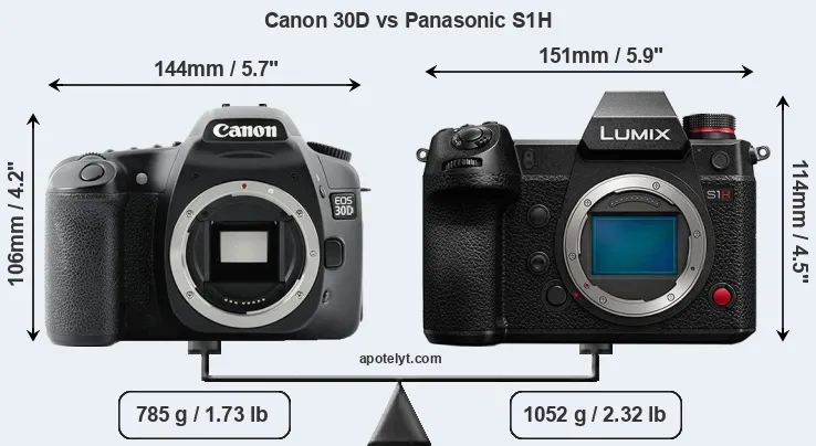 Size Canon 30D vs Panasonic S1H