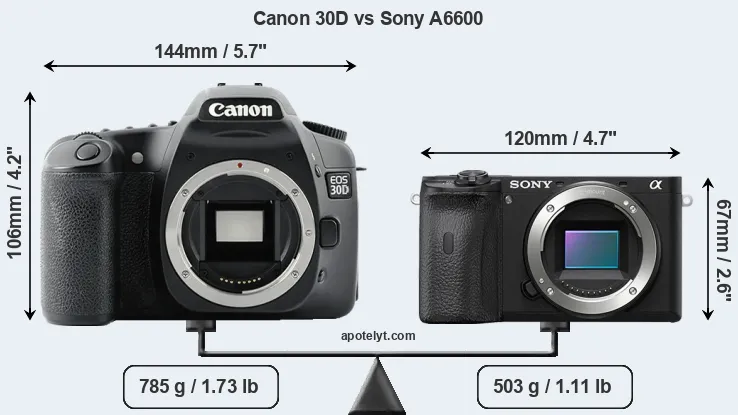 Size Canon 30D vs Sony A6600