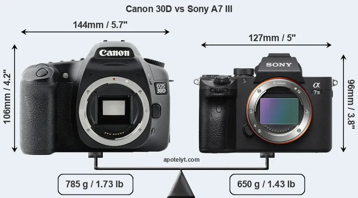 Size Canon 30D vs Sony A7 III