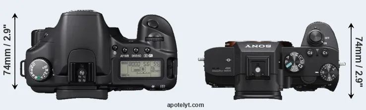 Compare 30D versus A7 III top