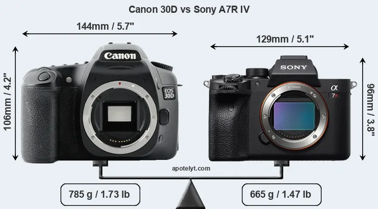 Size Canon 30D vs Sony A7R IV