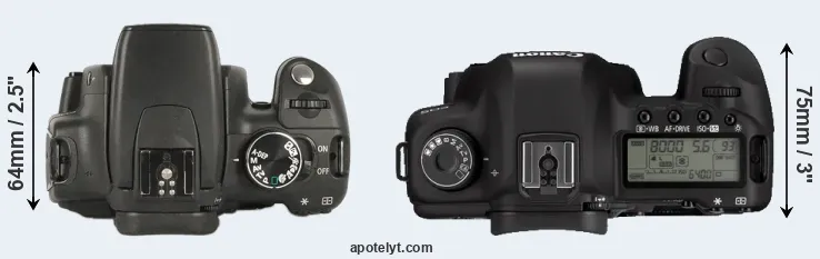 Compare 350D versus 5D Mark II top