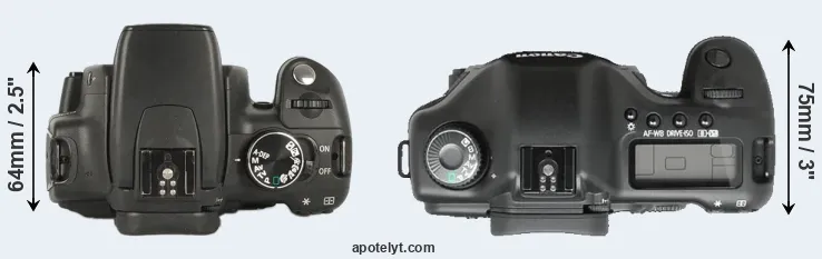 Compare 350D versus 5D top