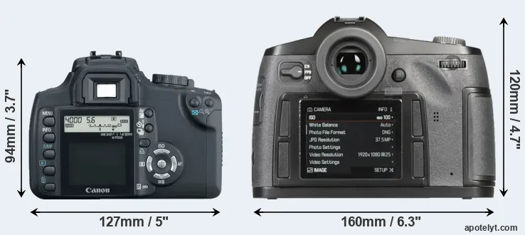 Comparison 350D or S-E Typ 006 rear