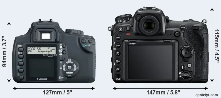 Comparison 350D or D500 rear