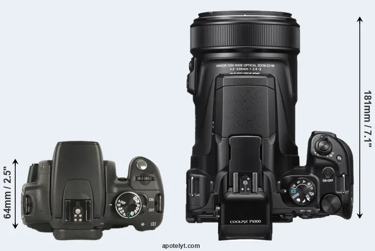 Compare 350D versus P1000 top