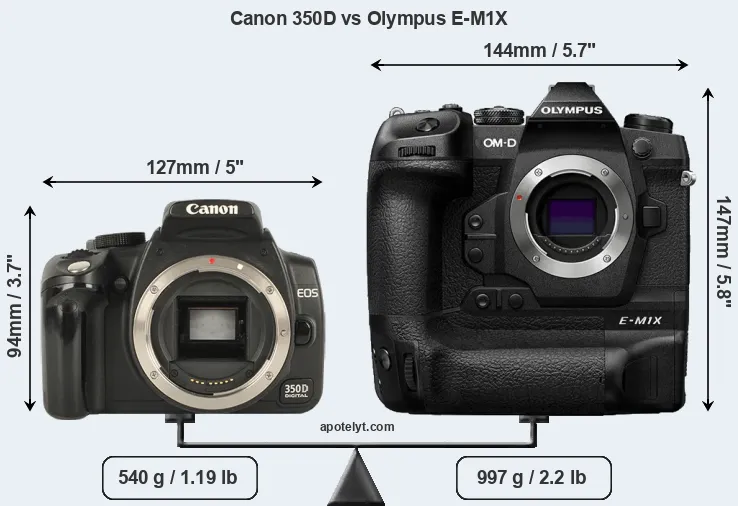 Size Canon 350D vs Olympus E-M1X