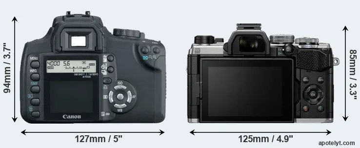 Comparison 350D or OM-5 rear